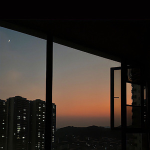 绽放