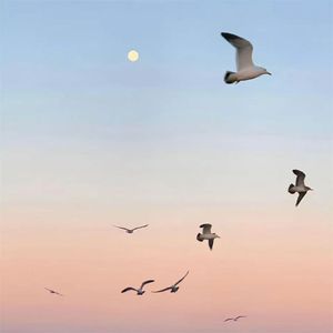 那个盛夏的故事