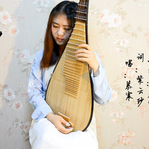 【琵琶】花间事（Cover 慕寒）