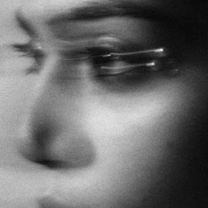 Stillness Of The Night