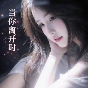 在没有你的城市下雨