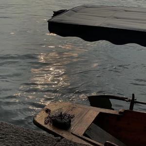 贪恋（Prod by 毒猫）