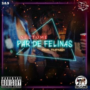 Par de felinas (feat. Trap Nash)