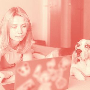 抚慰的周末回忆