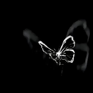 Я вроде бы пил