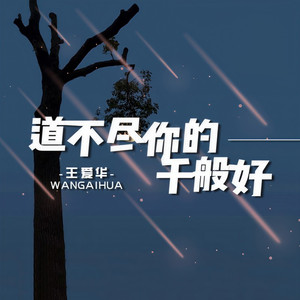 道不尽你的千般好