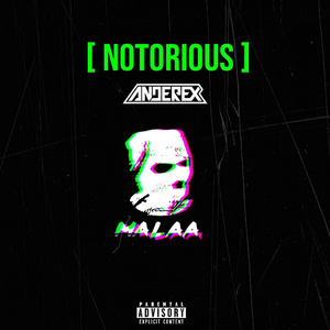 Notorious (Anderex's Anarchy Bootleg)
