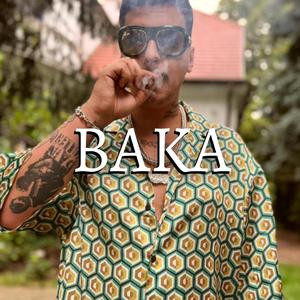 BAKA