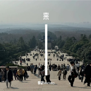 你的摇头，我的摆尾