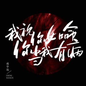 我视你如命你当我有病 (DJ默涵版)