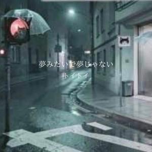 夢みたいで夢じゃない