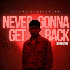 Never Gonna Get Back