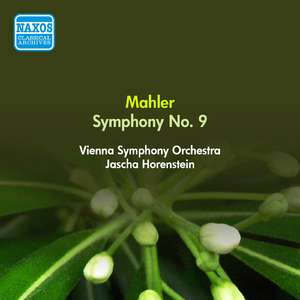 Symphony No. 9 in D Major:III. Rondo-Burleske: Allegro assai