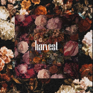 ドレスコード・フリー