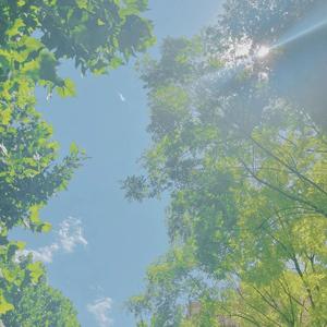 一笺清浅入夏来