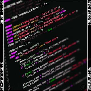 Programmer (I/O)