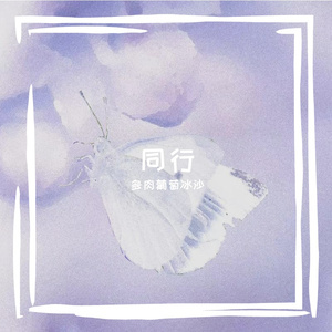 同行