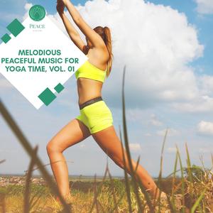 Peaceful Yoga Enhancing (Colorful Lives)