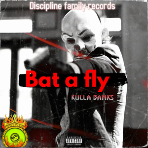 Bat a Fly