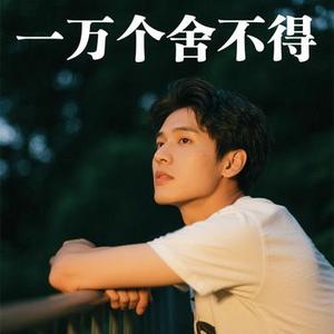 一万个舍不得 (兜有米。 Remix)