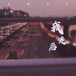 我走后 (抖音热播)