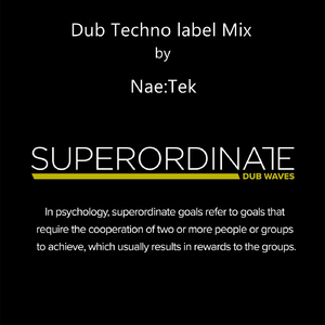 Dub Techno Label Mix (Dj Continuos Mix)