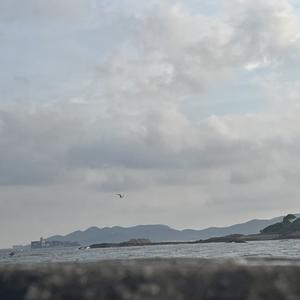 程艾影（Cover赵雷）