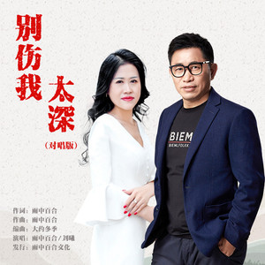 别伤我太深 (对唱版)