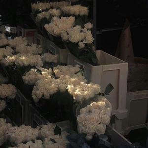 【FREE】lucky记忆闪帧