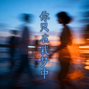 你只在我梦中