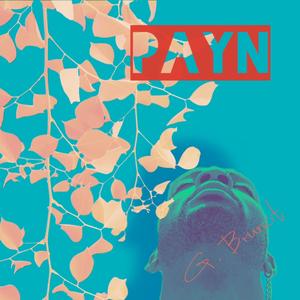 PAYN