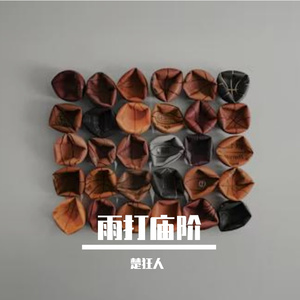 雨打庙阶