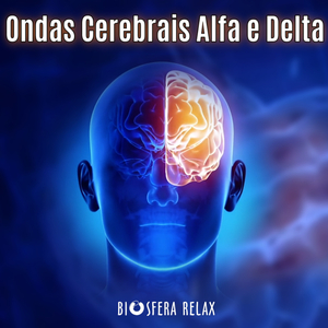 Desperte O Gênio Interior 14hz