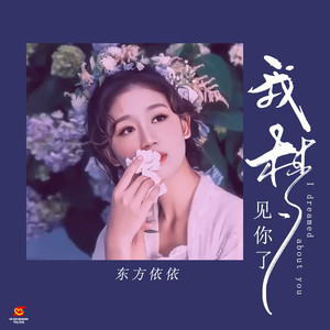 我梦见你了 (Dj翊轩EDM版)