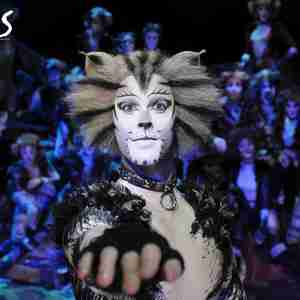 歌剧猫主题曲《Memory》