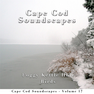 Cape Cod Soundscapes: Foggy Kettle Hole, Pt. 7