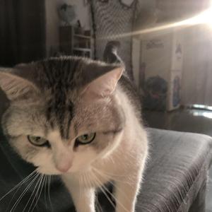 总有一天你会出现在我身边