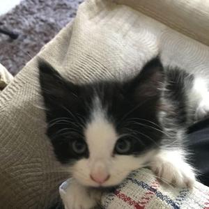 falling slowly (feat. zixdown, twentyfifth, whyhaze & maiko)