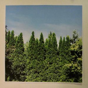 Before work on a Tuesday