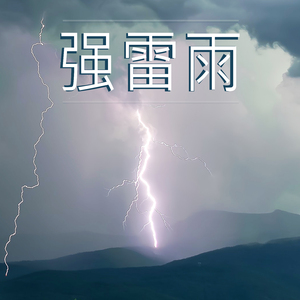 强雷雨,25部