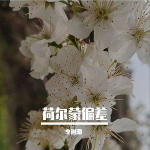 荷尔蒙偏差（跑调练唱ver.）