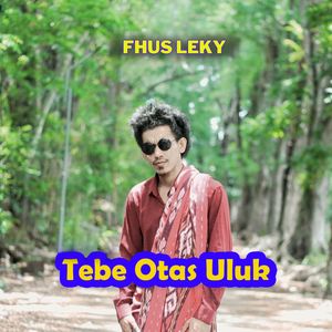 Tebe Fehan Foho