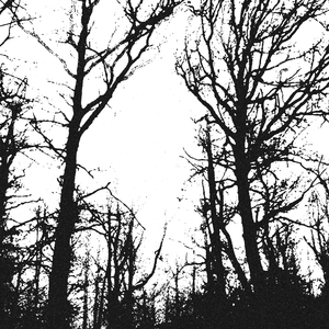 När Skuggor Jorden Hölja