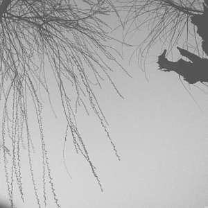 这是我想对你说的吧