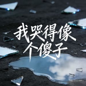 我哭得像个傻子（我曾像傻子一样爱你）