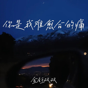 你是我难愈合的痛