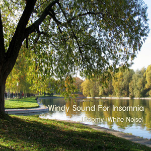 불면증에 좋은 바람소리