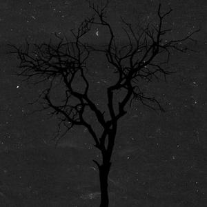 Between Words