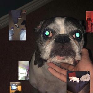 febreeze (feat. floral & skawt)