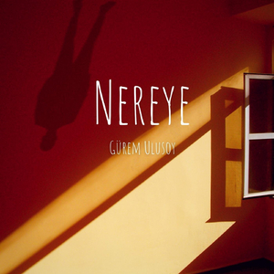 Nereye
